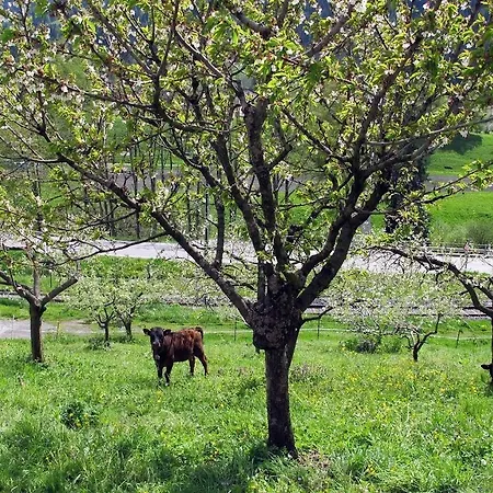 Restaurant L'escale Hotel Verbier