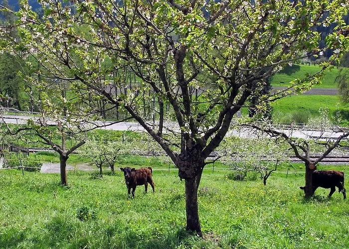 Restaurant L'escale 호텔 베르비에